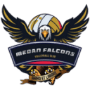 Medan Falcons 6 128x128
